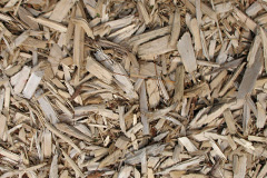 biomass boilers Sharpstone